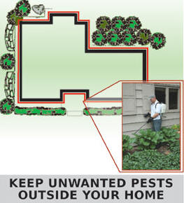 Perimeter Pest Control